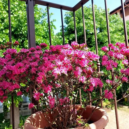 Casa vacanze La Buschera